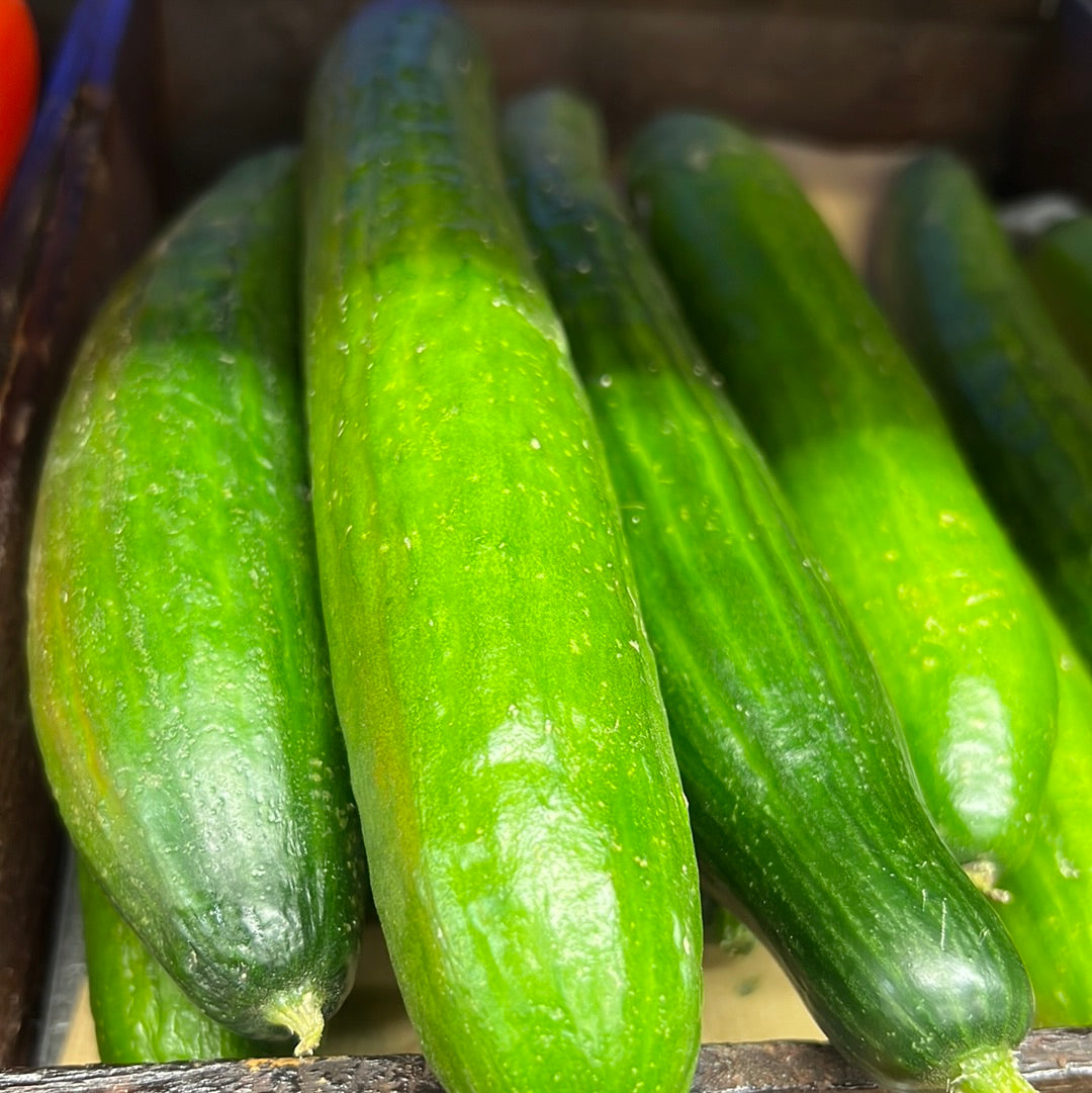 Organic Cucumber (Each)